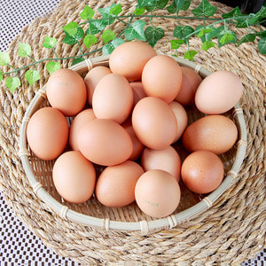벽오리농장 착한달걍 유정란 소소란 계란